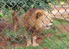 Gadag Zoo