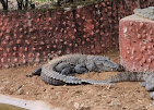 Gadag Zoo
