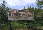 Gadag Zoo
